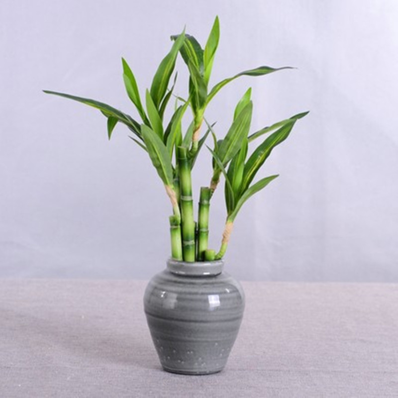 New 40cm rFtificial Lucky Bamb - Desk Setup At Home recensie en prijs