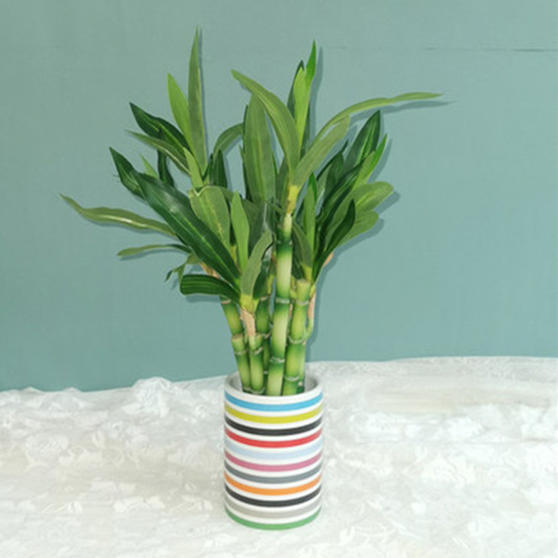 New 40cm rFtificial Lucky Bamb - Desk Setup At Home recensie en prijs