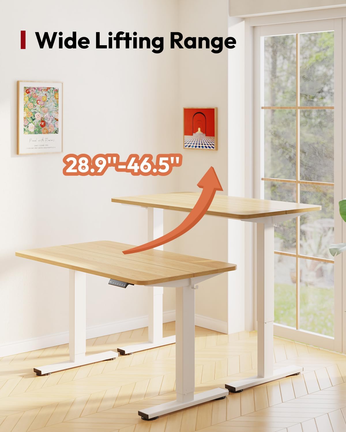 Electric Standing Desk 40x24 i - Desk Setup Ergonomics recensie en prijs