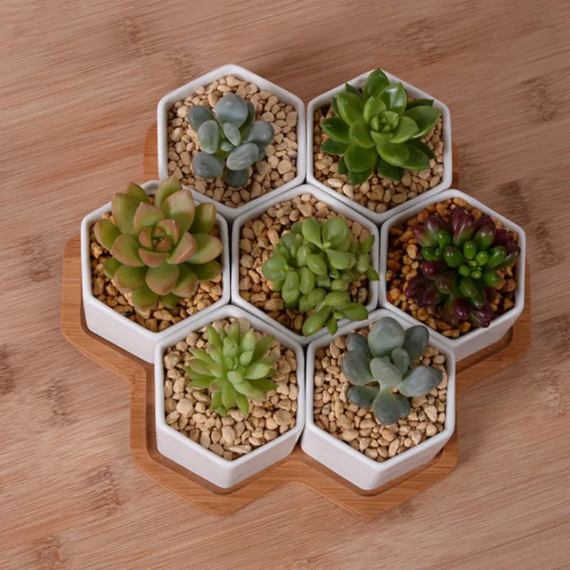 Set of 4/7/9/10 Hexagon Flower - Desk Setup White recensie en prijs